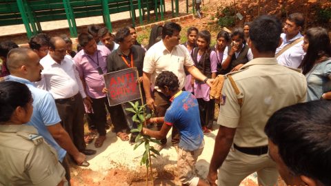 International Day of Forests 2018