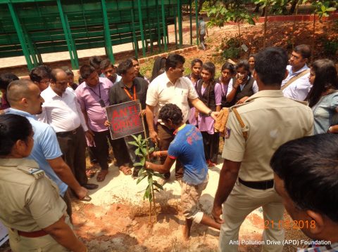 International Day of Forests 2018